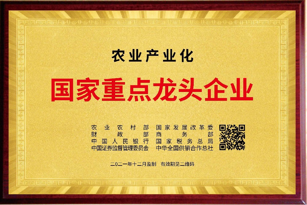 荣誉资质一